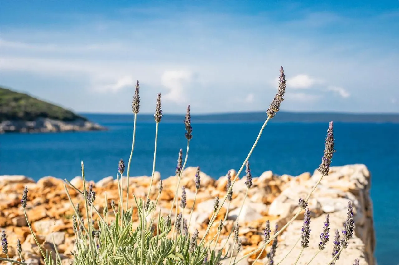 Holiday home Seaside Holiday House Cove Zatanki, Losinj - 21420 Cunski Croatia